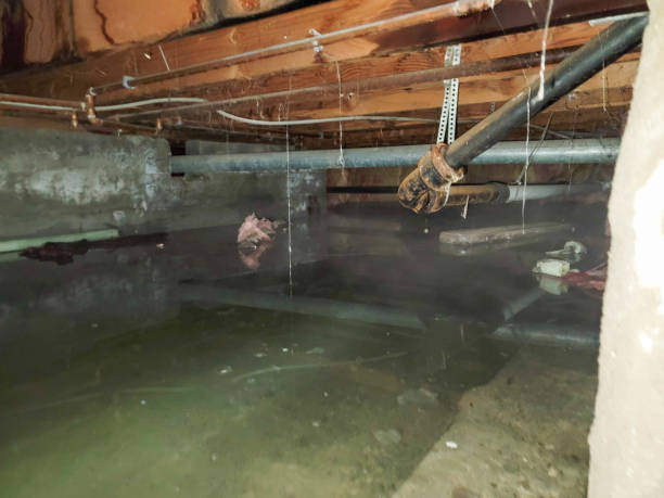 Reliable Absecon, NJ Water damage restoration Solutions